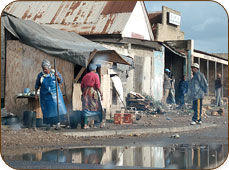 Port Elizabeth community